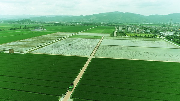 打造高尺度农田建设古林样板 夯实孝感现代农业发展基础