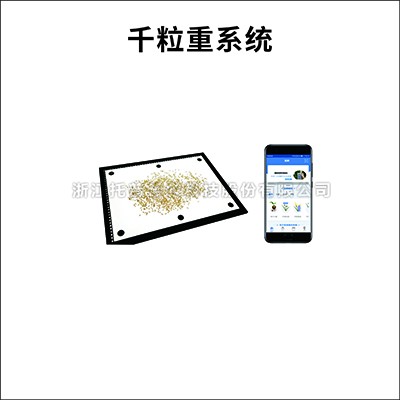 千粒沉丈量系统