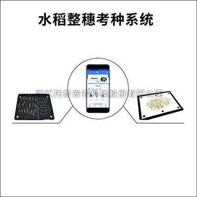 水稻整穗考种仪：一款基于图像鉴别技术的水稻整穗考种丈量工具