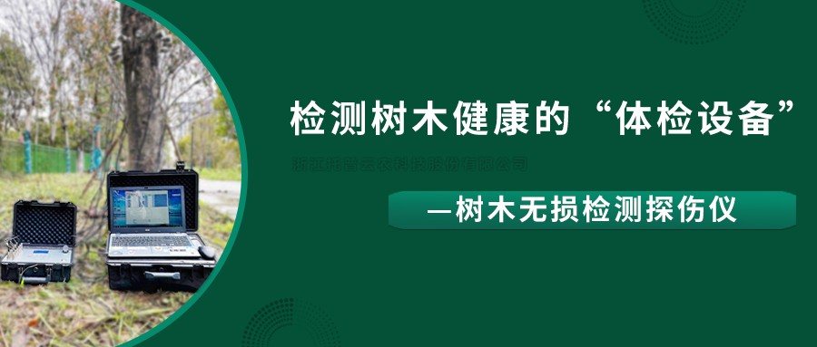 树木无损检测探伤仪精准检测树木健全情况，给出专业医治规划