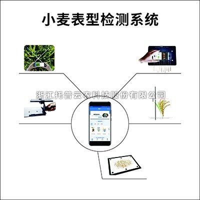 幼麦表型检测系统：专业的幼麦表型检测仪器