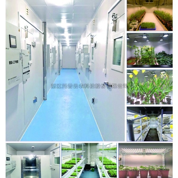 植物成长室简介|植物成长室作用及职能介绍