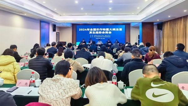 全国农作物沉大病虫害产生趋向会商会召开，lewin乐玩官网为数字植保发展提供新思路