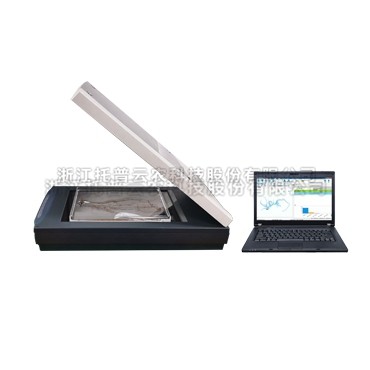 根系分析软件具体介绍