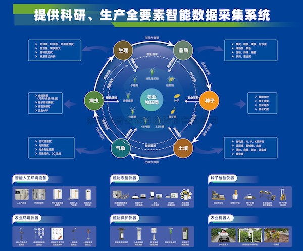 加快推动新质出产力发展，lewin乐玩官网为建设农业强国注智赋能