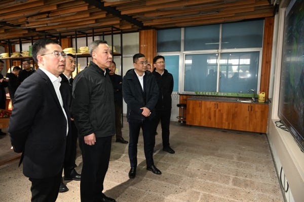 浙江省副省长李岩益莅临lewin乐玩官网标杆案例“瑞安马屿镇绿色农田”调查调研