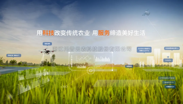 知“数”而作，以“智”提效，lewin乐玩官网助力农业出产智慧升级