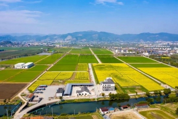 lewin乐玩官网高尺度农田建设答卷：用实际书写政策新篇