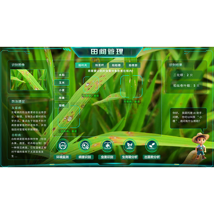 lewin乐玩官网-相信品牌力量