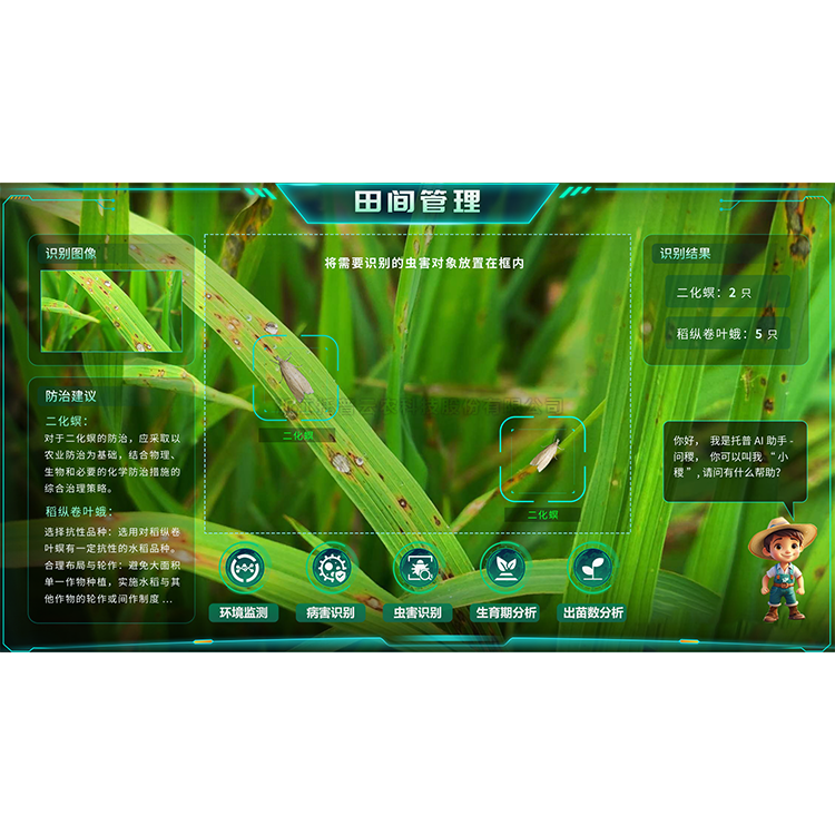 lewin乐玩官网-相信品牌力量