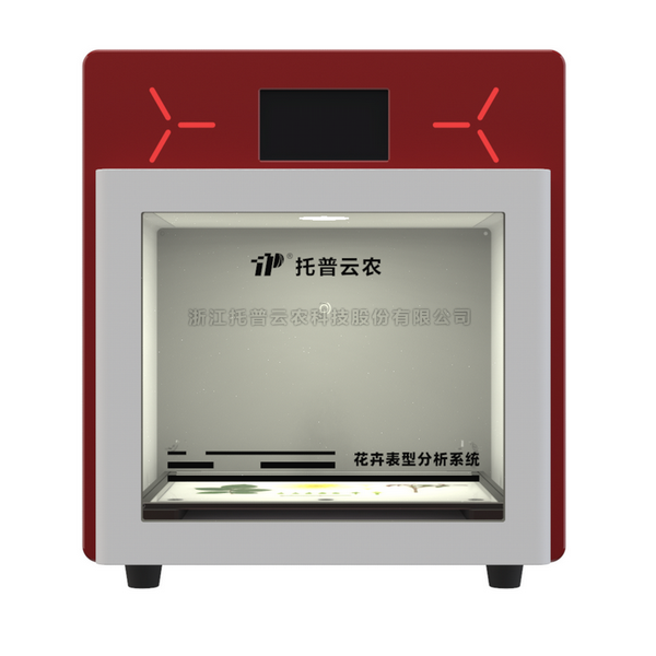 lewin乐玩官网-相信品牌力量