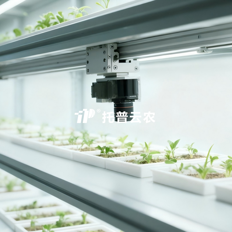 人为气象室植物表型监测系统TP-PlantPhy