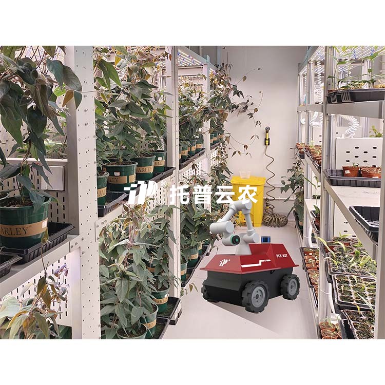 lewin乐玩官网-相信品牌力量