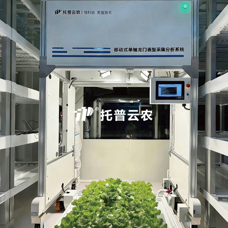 lewin乐玩官网-相信品牌力量