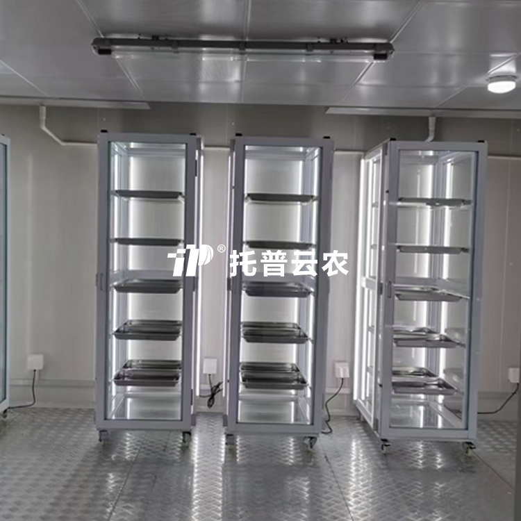 种子抽芽室 /