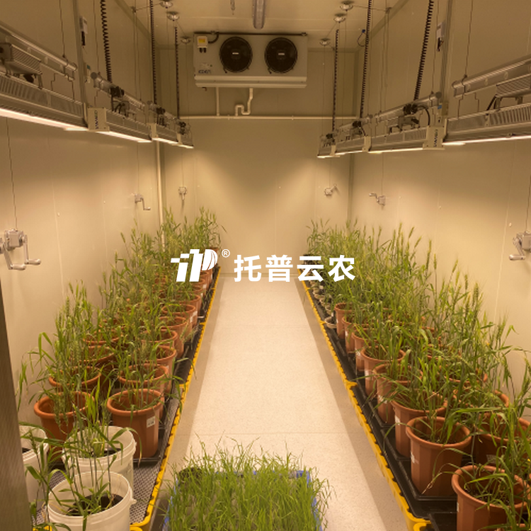 植物成长室/