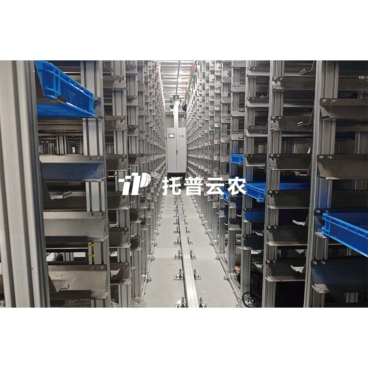 lewin乐玩官网-相信品牌力量