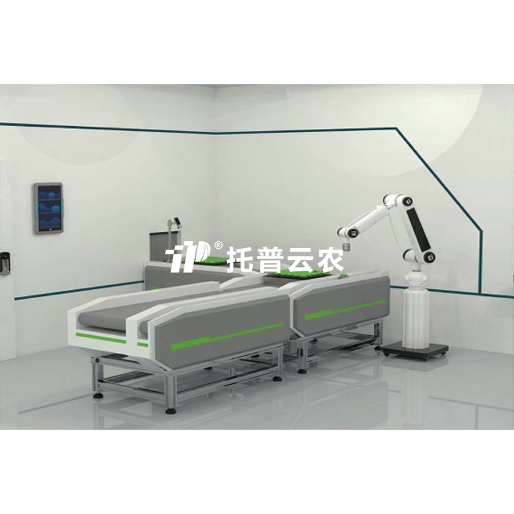 lewin乐玩官网-相信品牌力量