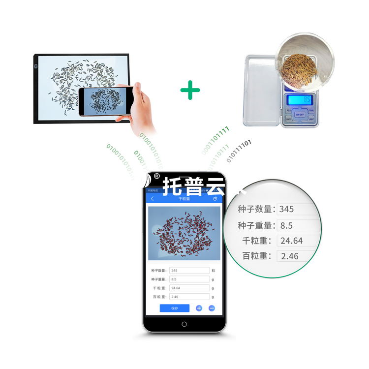 千粒沉仪V2.0