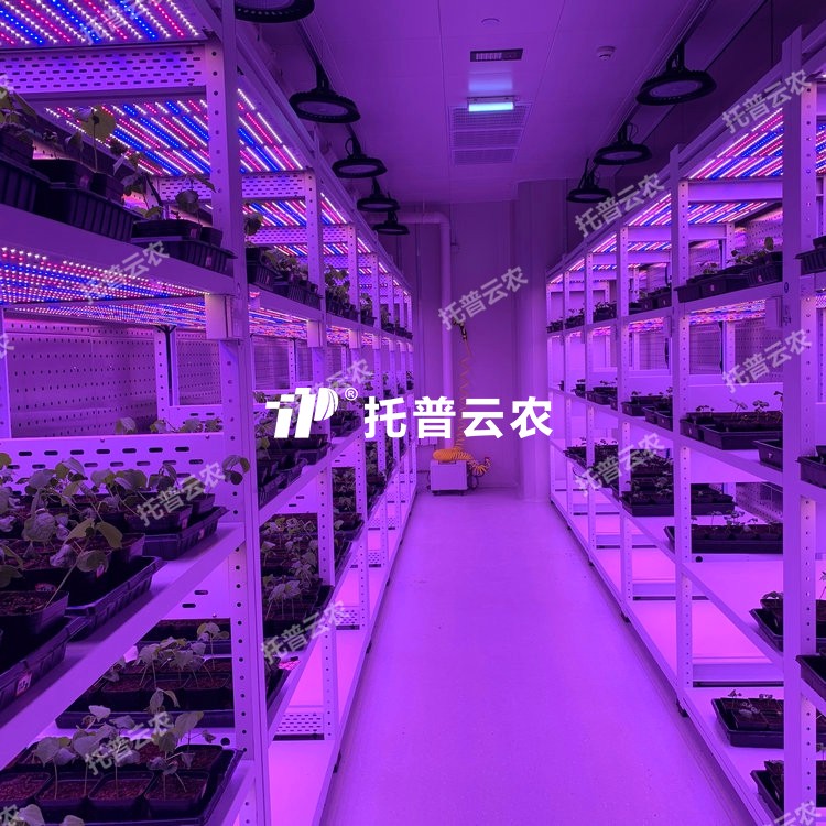 造就架型人为气象室介绍|造就架型人为气象室主题亮点有哪些？