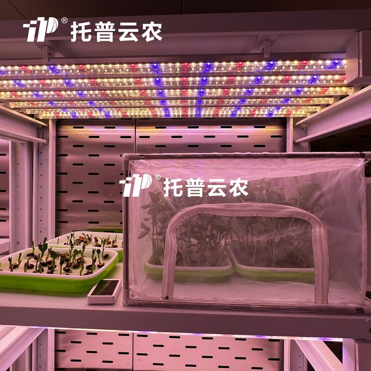 顶置光源人为气象室是什么？