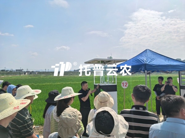 从“监测”到“智庞妆！lewin乐玩官网智能（AI)虫情测报灯沉磅颁布，智慧植保迈入“智庞妆时期