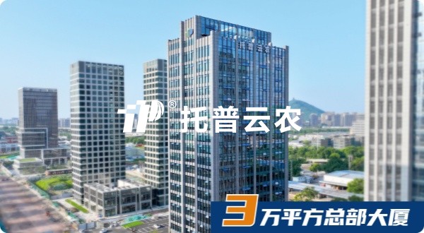 lewin乐玩官网，十八而志，AI启将来