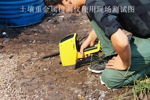 泥土沉金属检测仪使用现场测试图