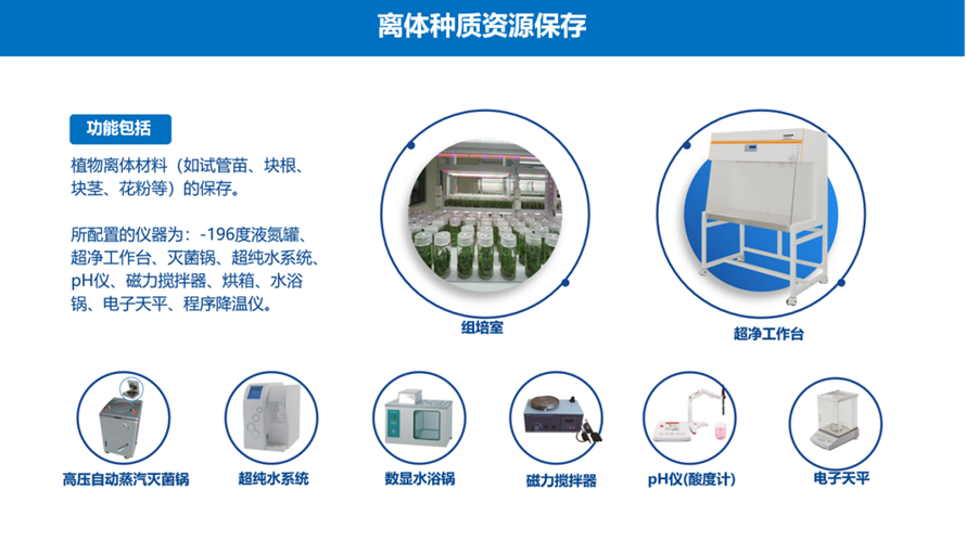 离体种质资源保留