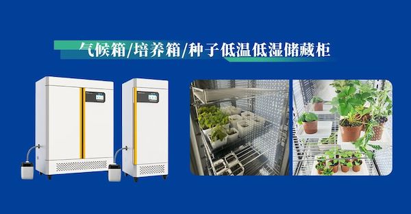 1729502751169339.jpeg