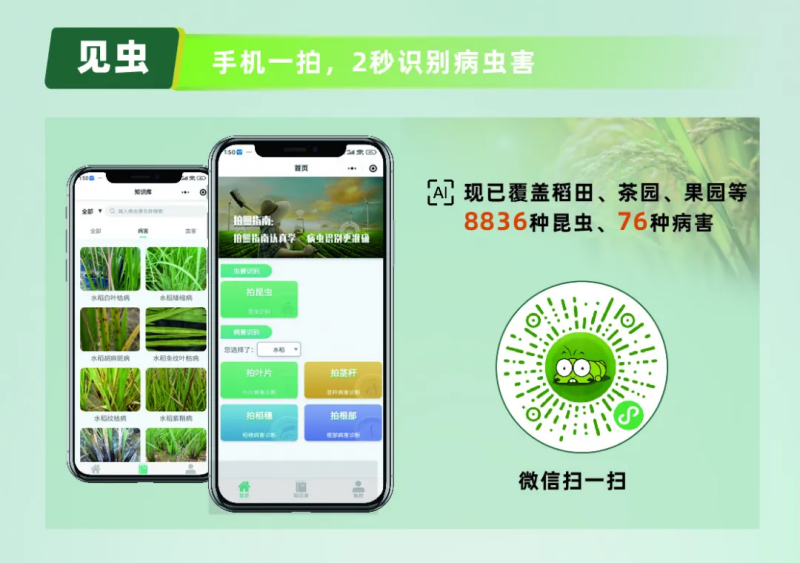 图片4_副本.png