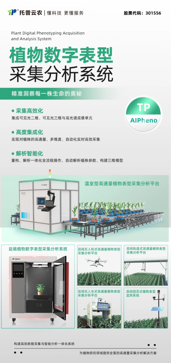 SEO图3.png