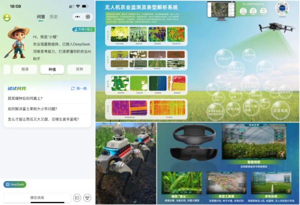 SEO图5.png