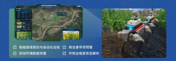 5_副本.jpg