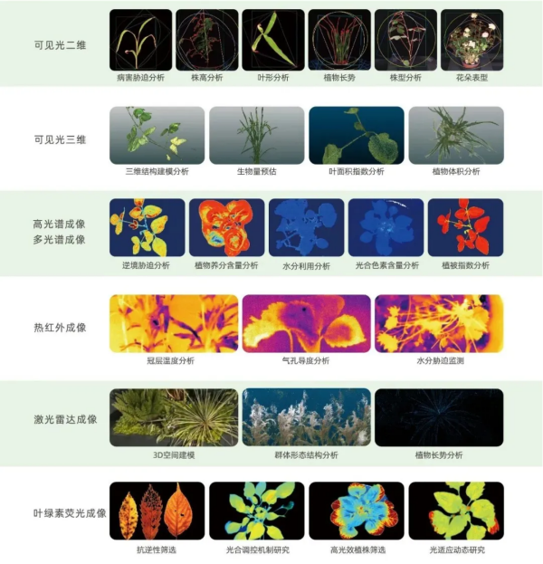 图片2_副本.png