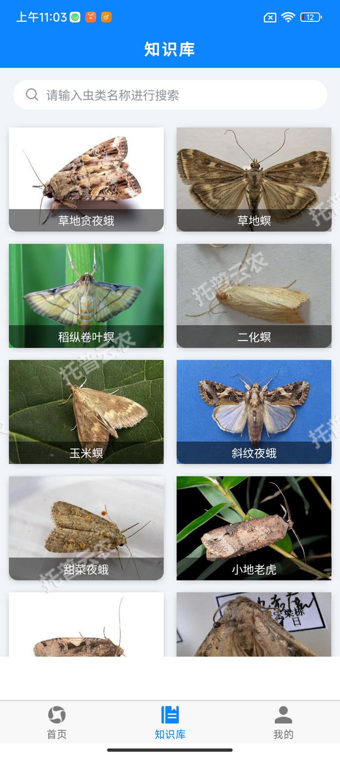 5、害虫知识库.png