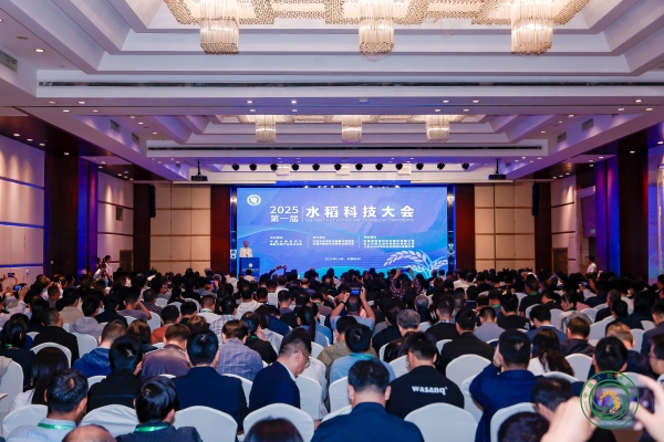 图片01_副本.jpg
