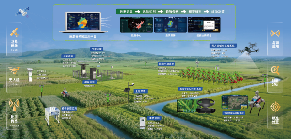 6天空位_副本.png