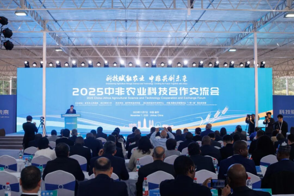 图片1_副本.png