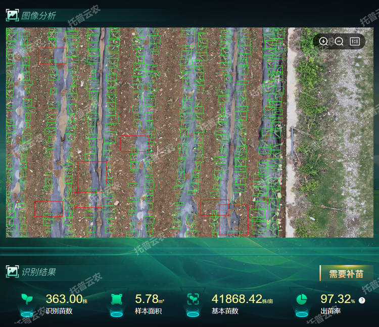 出，苗率.png