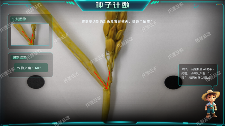 7.png