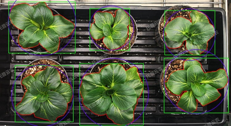 表型分析-环控型植物成长表型分析系统.jpg